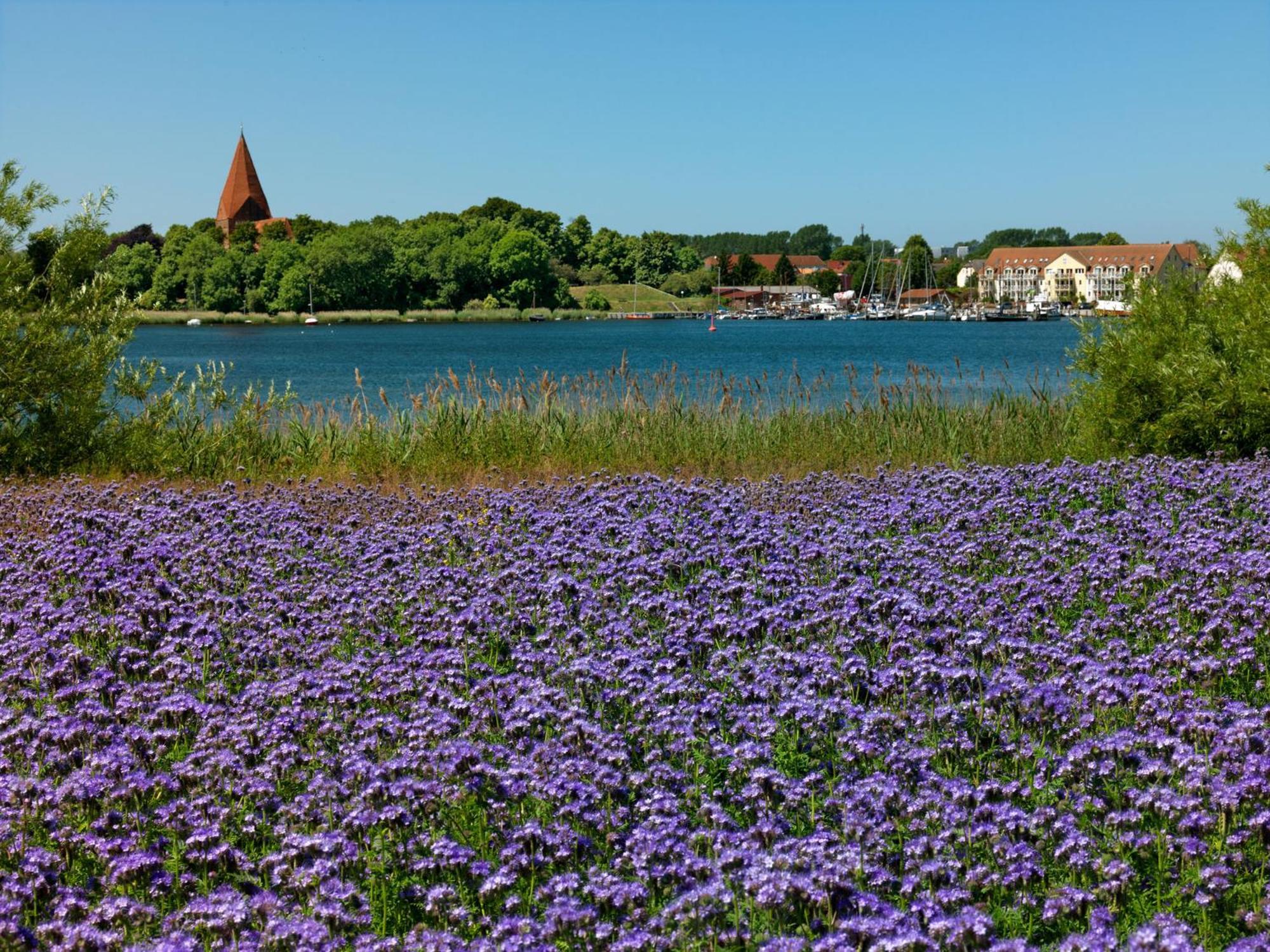 Daenisches Ferienhaus Kaltenhof Buitenkant foto